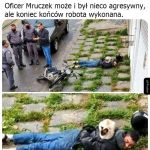 Oficer Mruczek