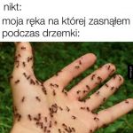 Trochę mrowi
