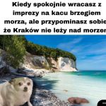 Powr&oacute;t z imprezy