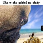 Oko w oko
