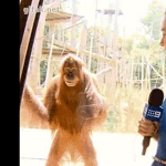 Kiedy widzę fajną laskę