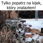 Samo szczęście