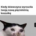 Minuta ciszy
