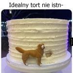 Perfekcyjny w każdym calu