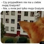 No niestety