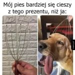 Nie da się ukryć