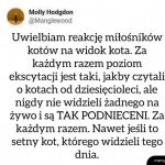 Miłośnicy kotów