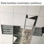 Ślady