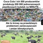 Ale to papierowe słomki pomogą