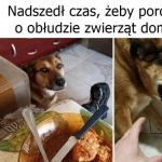 Obłuda zwierząt domowych