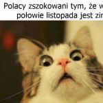 Szok i niedowierzanie