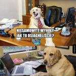 Niesamowite wyniki