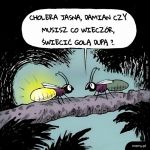 Ach te świetliki