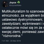 Multikulturalizm