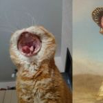They're the same picture