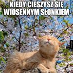 Przyjemnie