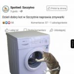 Pracowity sierściuch