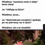 Jest w pytę