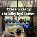 Oj tak