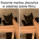 Film