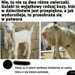 Czas wszystko zmienia