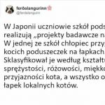 Ciekawy projekt