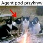 Agent
