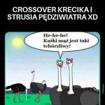 crossover