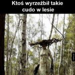 Piękne