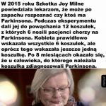 Utalentowana Szkotka