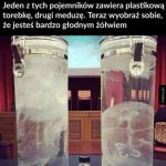Człowiek to szkodnik