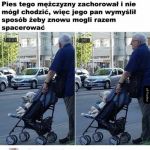 Miły widok