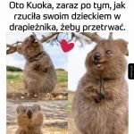 Dzień madki coraz bliżej.