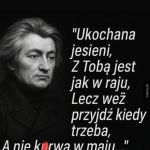 Adam Mickiewicz "pogoda ,,