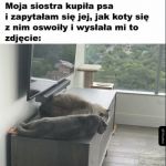Jeszcze się nie dowiedział