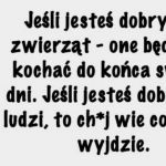 Zwierzęta vs ludzie