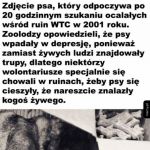 Empatyczne pieski