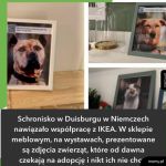 Dobra wiadomość na dobranoc