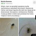 Trochę drogo