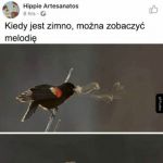 Śpiew ptaka