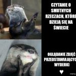 Tak lepiej