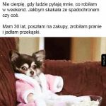 Mój wolny czas