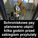 Szczęśliwe zakończenie