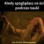 Nagle wszystko staje się interesujące