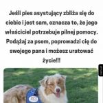 Ważne