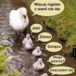 To był ostatni raz