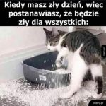 Jak wszyscy to wszyscy