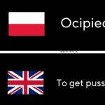 Ocipieć