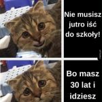 Pracująca sobota :(