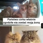 Co za pech